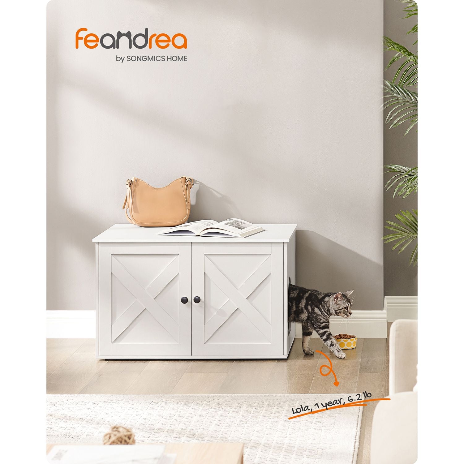 Cat Litter Box Enclosure with Removable Divider